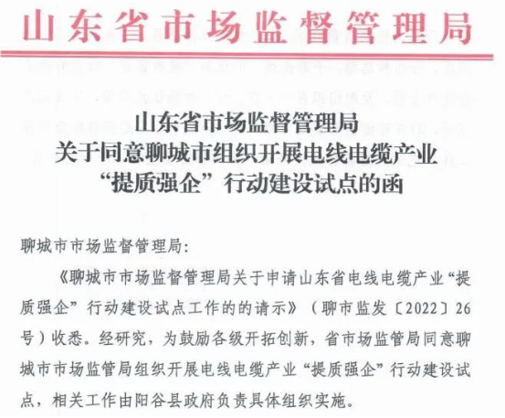 聊城市陽(yáng)谷縣被定為電線電纜產(chǎn)業(yè)“提質(zhì)強(qiáng)企”行動(dòng)建設(shè)試點(diǎn) 聊城市陽(yáng)谷縣被定為電線電纜產(chǎn)業(yè)“提質(zhì)強(qiáng)企”行動(dòng)建設(shè)試點(diǎn)
