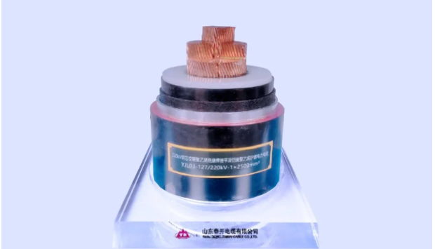 展望未來，泰開電纜表示將繼續(xù)發(fā)揮科研平臺(tái)在關(guān)鍵技術(shù)攻關(guān)、科技成果轉(zhuǎn)化、創(chuàng)新人才培養(yǎng)、產(chǎn)學(xué)研協(xié)同發(fā)展等方面的重要作用，力爭(zhēng)實(shí)現(xiàn)新產(chǎn)品、新技術(shù)、新工藝方面的再突破，助力行業(yè)和產(chǎn)業(yè)鏈的協(xié)同發(fā)展!