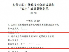 耐斯特超長(zhǎng)途子午線輪胎專(zhuān)用N205炭黑項(xiàng)目榮獲桂冠