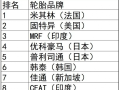 全球輪胎品牌價(jià)值排行榜|2025