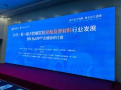 聚焦行業(yè)盛會！2025 大數(shù)據(jù)賦能輪胎及原材料行業(yè)發(fā)展暨輪胎品牌嚴(yán)選細(xì)銷研討會精彩呈現(xiàn)