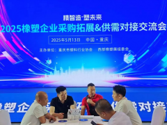 精彩回顧 |2025橡塑企業(yè)采購?fù)卣?供需對接交流會